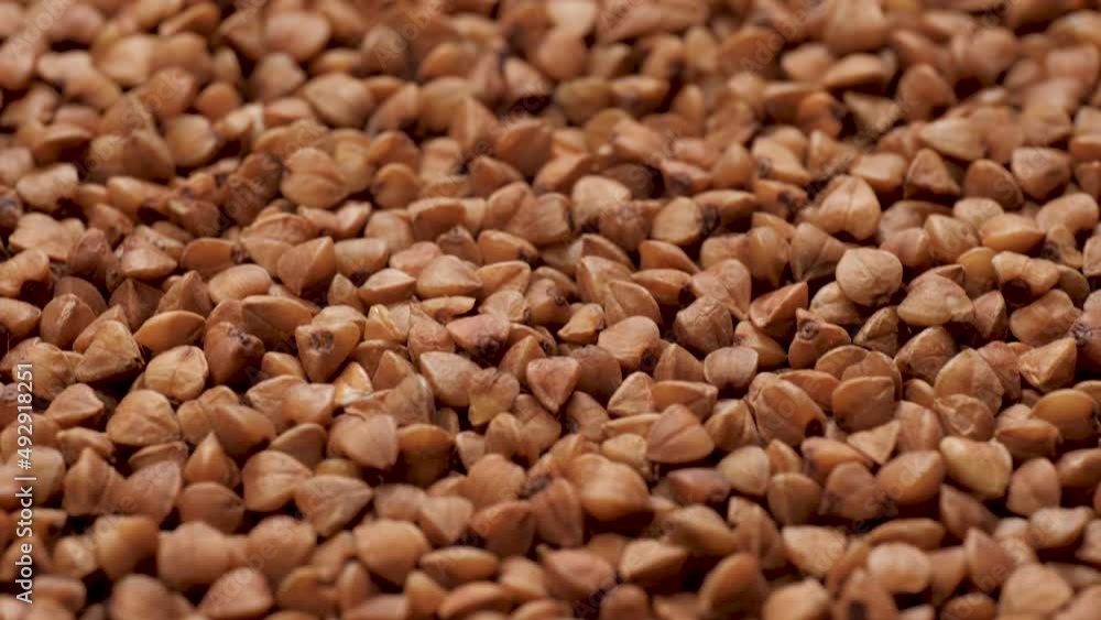 Buckwheat. Close-up camera pans down and shows beauty buckwheat Buckwheat. Close-up camera pans down and shows beauty buckwheat