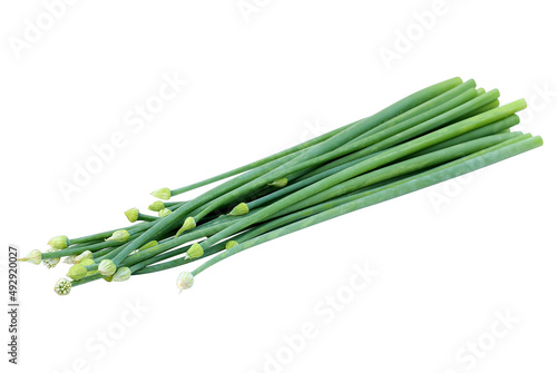 fresh onion flower isolated on white background