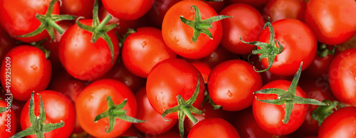 tomatoes food on banner size, red tomatoes background ,fresh water drop on tomatoes 