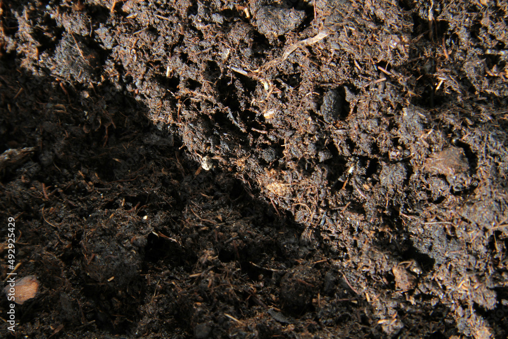 Soil close-up. Black earth in the sun. The rays of the sun illuminate the garden Soil close-up. Black earth in the sun. The rays of the sun illuminate the garden