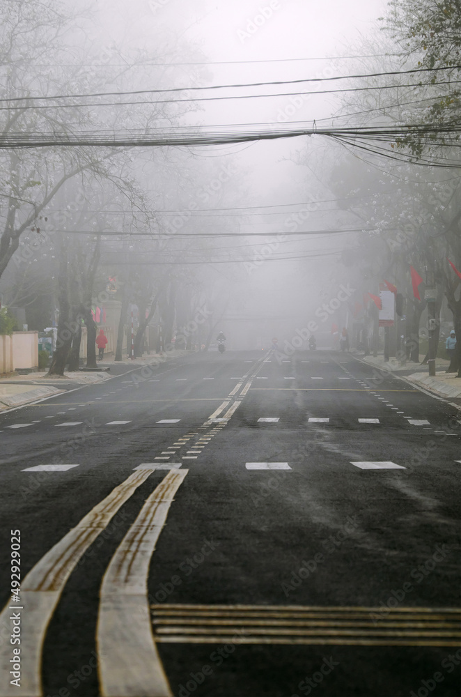 traffic in fog