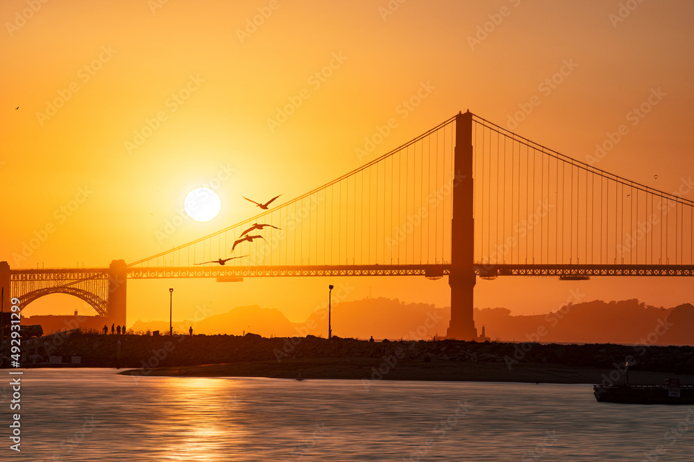 Golden Gate Bridge at Sunset with seagulls Golden Gate Bridge at Sunset with seagulls