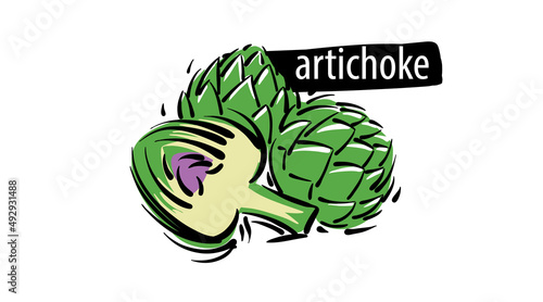 Drawn artichoke isolated on a white background