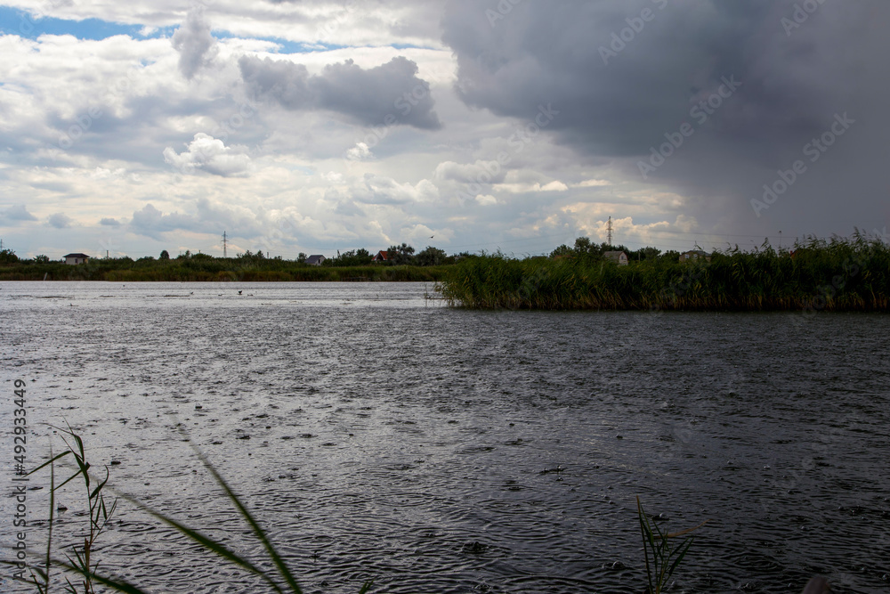 Rural landscape with the shore of the river and reed, before the start of the rain