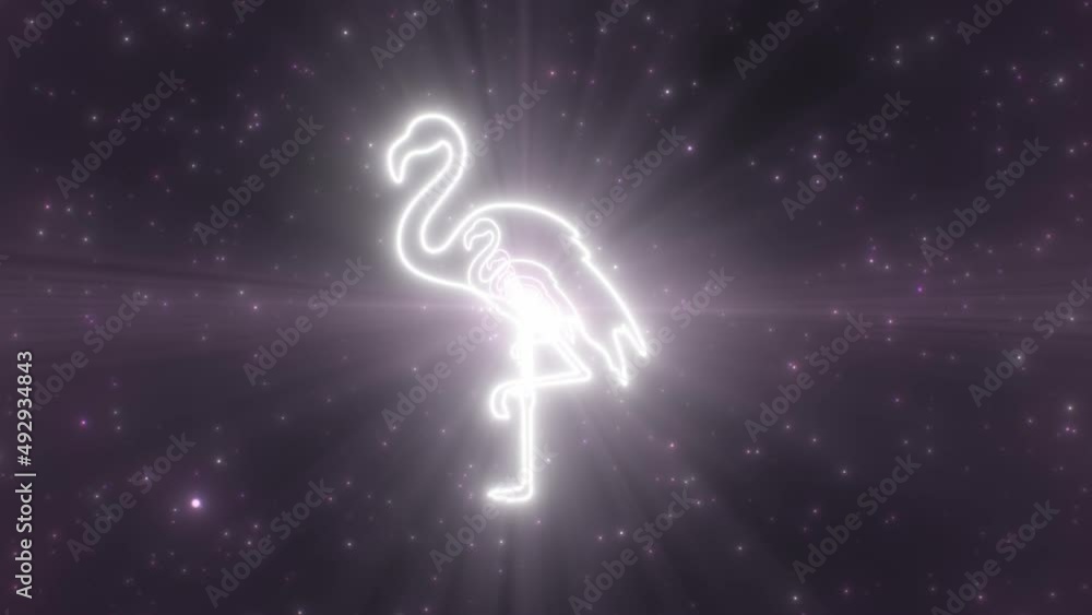 Pink Flamingo Bird Animals Shape Outline Glowing Neon Lights Tunnel - 4K Seamless VJ Loop Motion Background Animation