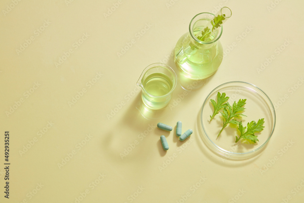 Mugwort decorated in petri dish with blue capsule in laboratory background for experiment advertising Mugwort decorated in petri dish with blue capsule in laboratory background for experiment advertising