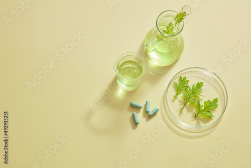 Mugwort decorated in petri dish with blue capsule in laboratory background for experiment advertising 