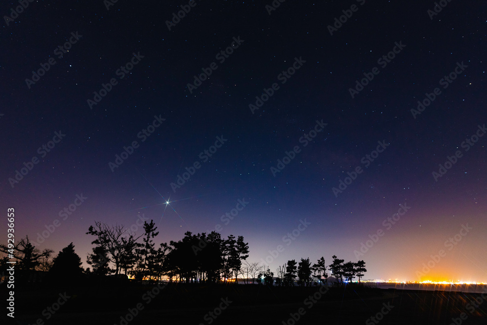 Fototapeta premium 바다