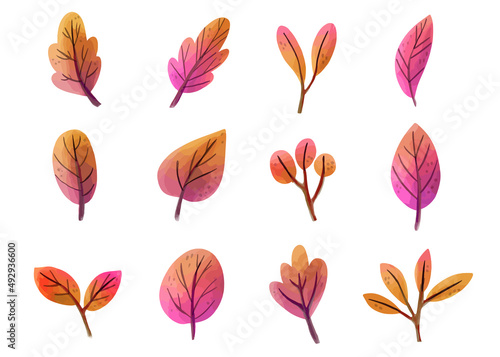 Watercolor pink fall leaves floral illustration set. Red orange leaf illustration clip art isolated in white background set.