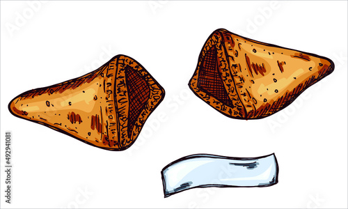 Vector hand drawn chinese fortune cookies isolated on white backgrounds. Food illustration. Crisp cookie with a blank piece of paper inside. For print, web, design, decor, logo.