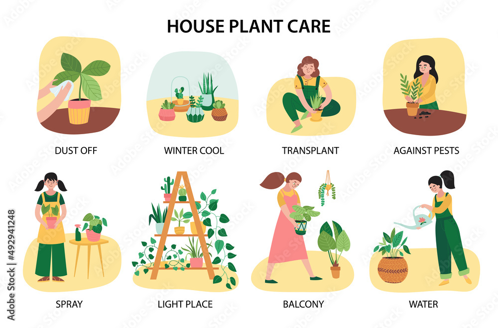Fototapeta premium Home Plants Composition Set