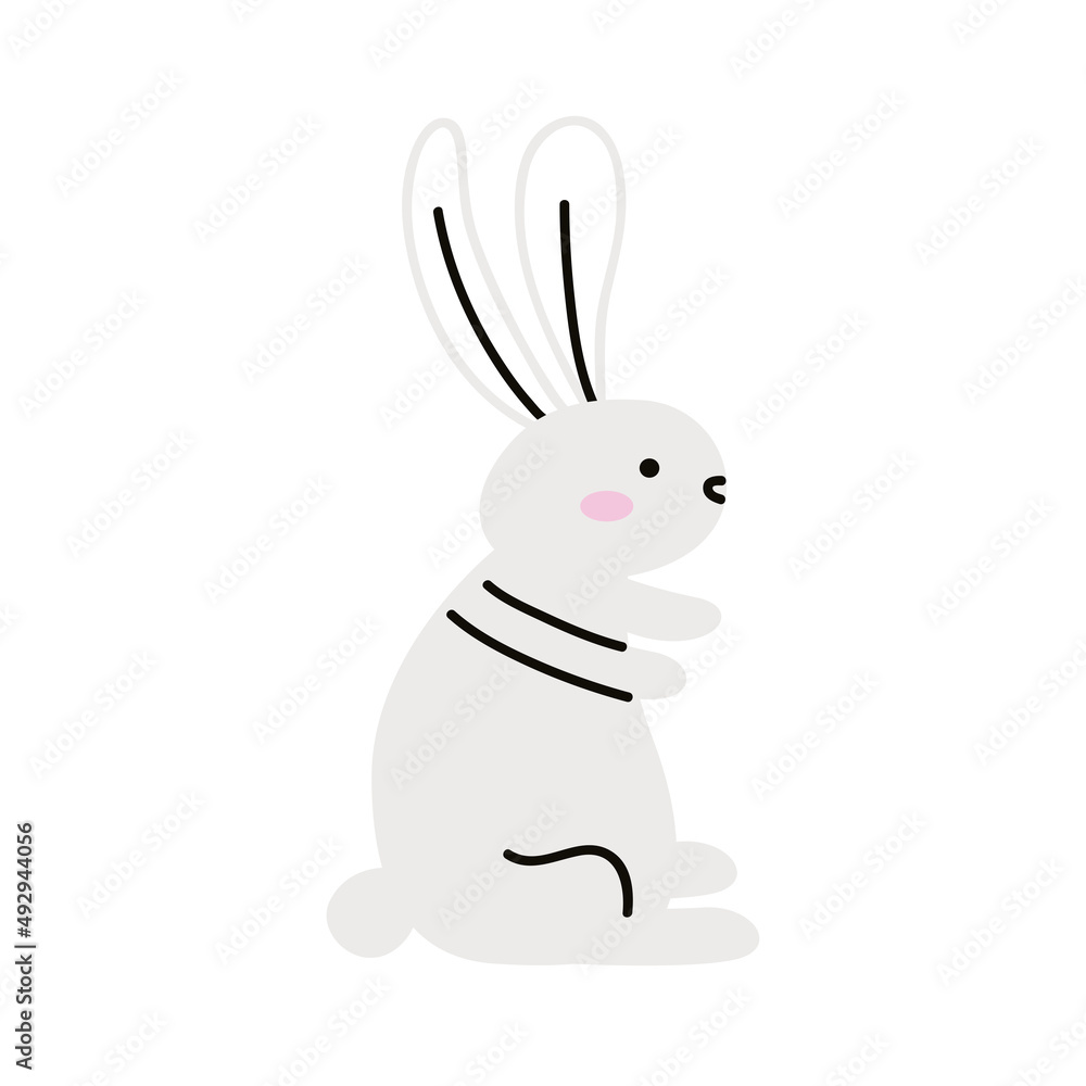 Obraz premium cute rabbit white seated