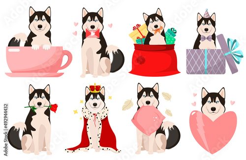A set of funny dogs on a white background. Husky breed. Cartoon design.
