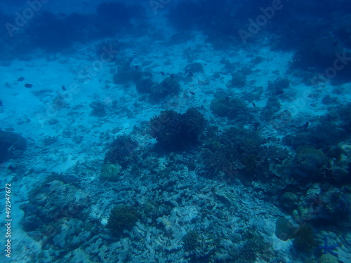 東ティモール ジャコ島の海