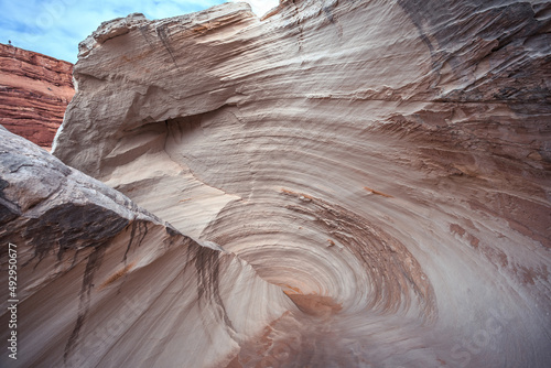 The Nautilus Formation, Paria Canyon and Vermilion Cliffs National Monument, Utah photo