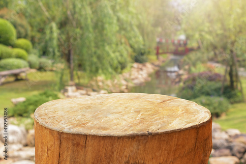 tree stump top with garden blurred background