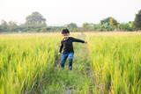 
Boy walking on the path in green paddy field. Little boy enjoy green grass nature in the rice field background.