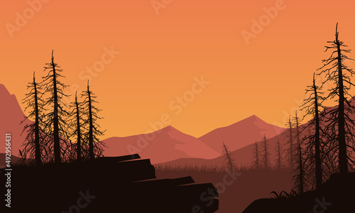 Magnificent view of the mountains with the dry forest from the edge of the village