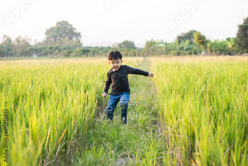  Boy walking on the path in green paddy field. Little boy enjoy green grass nature in the rice field background. © Sutprattana Studio