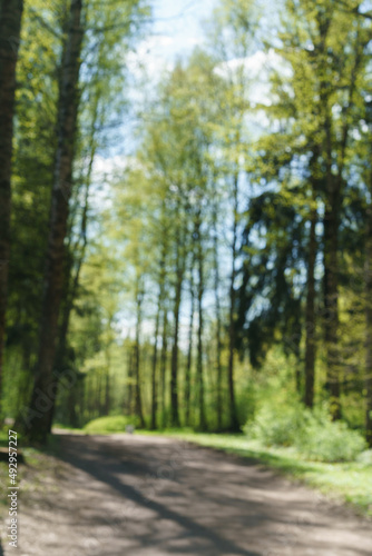 Trail through spring forest. Road path path with green trees in forest. Beautiful alley, road in the park. Path through the summer forest. Vertical photo without focus as wallpaper