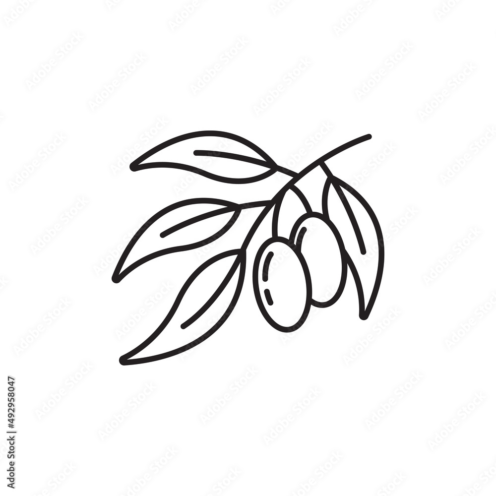Olive fruit icon design template vector isolated illustration Olive fruit icon design template vector isolated illustration