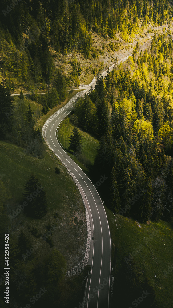 Mountain pass road in the morning light