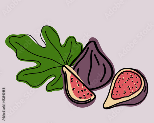 Figs whole and slice with green leaf. Doodle or hand drawing, vector illustration photo