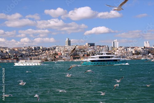 Flying seagulls and view of Istanbul