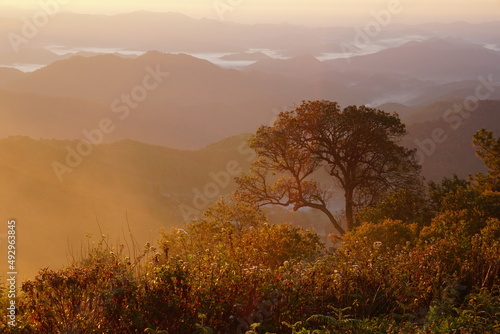 Nature landscape. Doi Mon Angket, Chiang Mai province in Thailand.