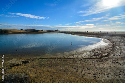 oasi di maspalomas isola gran canaria