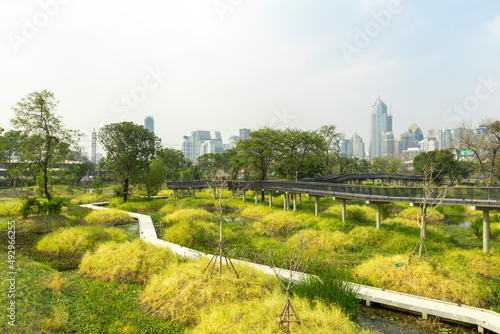 Benjakitti Forest Park, is new landmark public park of central Bangkok in Bangkok, Thailand. photo