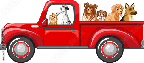 Dogs riding a car on white background