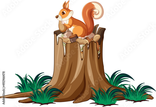 Brown squirrel sitting on the log