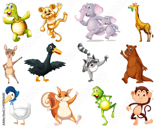 Set of animal cartoon character