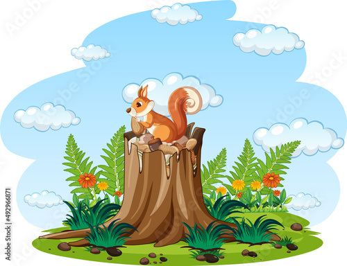Brown squirrel eating nuts in the garden