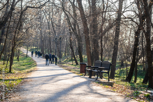 Wooden benches in the city park.Sunny day on the promenade in the city park Kamenica, Novi Sad. © caocao191