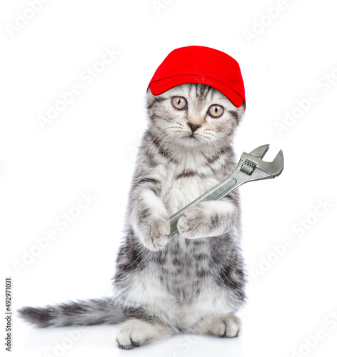 Funny kitten worker wearing red cap holds adjustable wrench. Isolated on white background