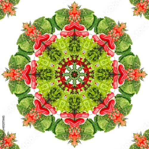 Abstract Pattern Mandala Flowers Full Color Red Green White 13