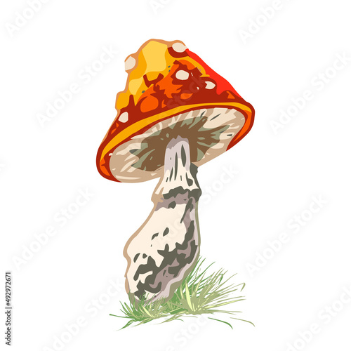 mushrooms, print, object mushrooms, hand drawing, vector isolated colorful illustration, template, print, object