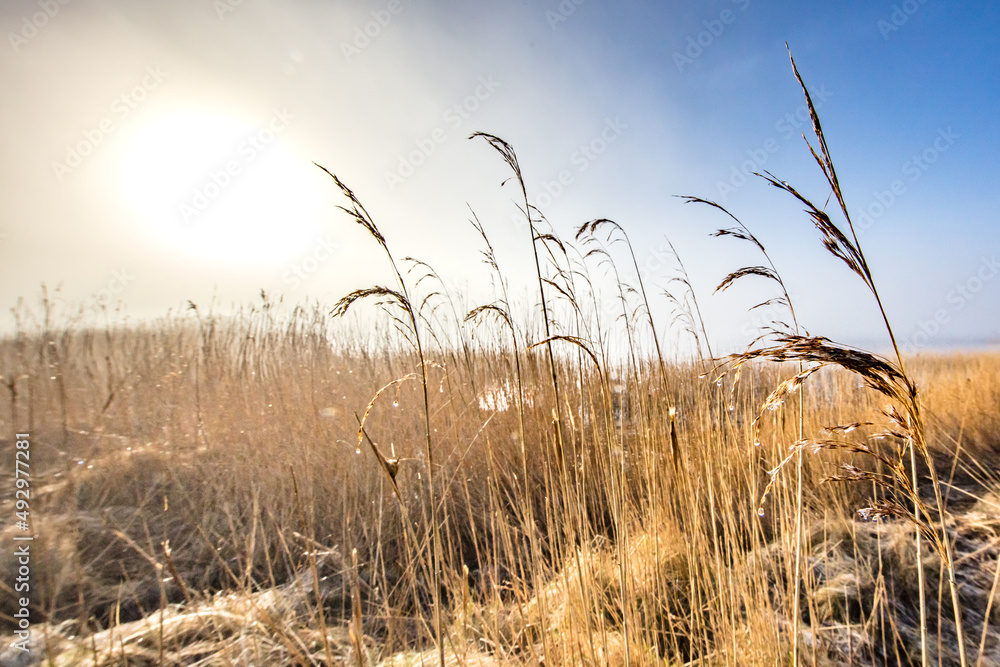 Obraz premium küste