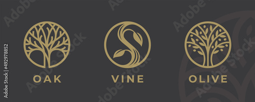 Abstract tree logo icon set. Elegant garden nature symbol collection. Branch with leaves sign. Vector illustration.