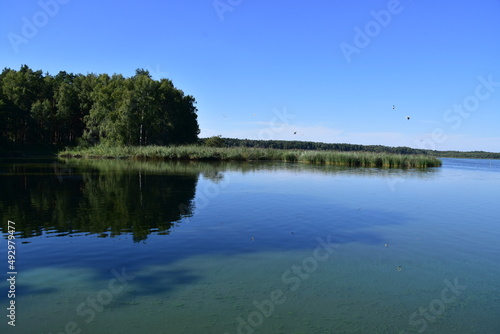 nature, reserve, ecosystem, water, pond, Poland, Milicz,  © Albin Marciniak
