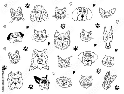 Set of portraits of pets. Heads of cats and dogs of different breeds.Cats and dogs together.Vector illustration.Drawn in doodle style.