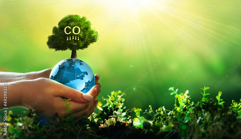Reduce CO2 emission concept. Renewable energybased green businesses