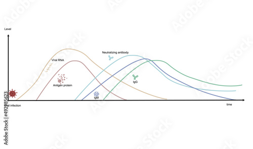 A Diagram represents the correlation of the biomarker level ( RNA, Antigen protein,Neutralizing antibody,IgM and IgG) and response time after viral infection that useful for research or diagnosis lab.