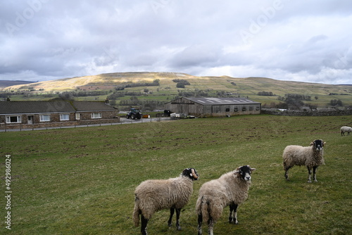 farmland, beautiful countryside, Wensleydale, Yorkshire Dales National Park