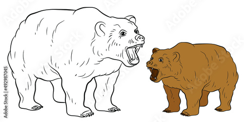 Animals. Black and white image of a big bear, coloring book for children. Vector drawing.
