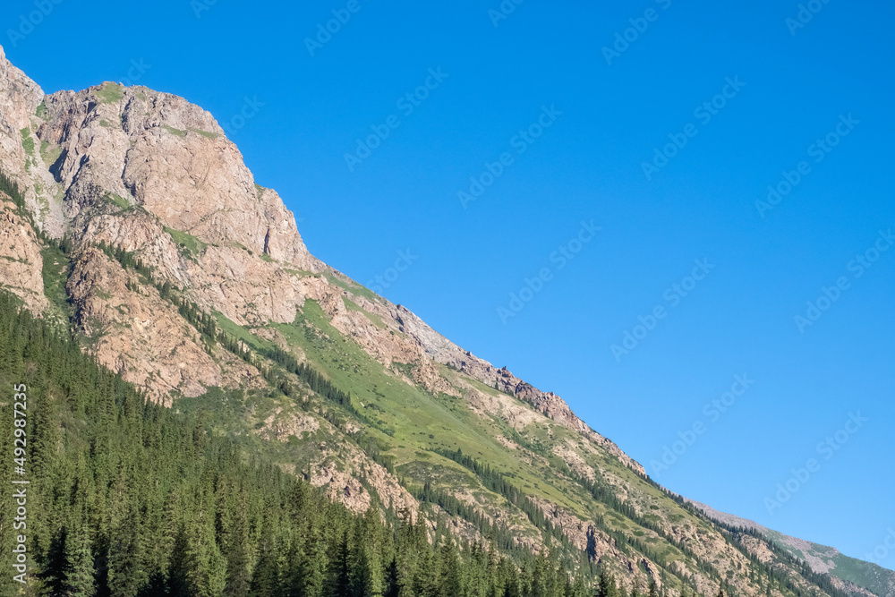 Beautiful rocky mountains with spruce forest on the foothill. Scenic background. Natural summer landscape. Barskoon river valley. Travel, tourism in Kyrgyzstan.