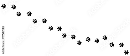 Animal paw background vector