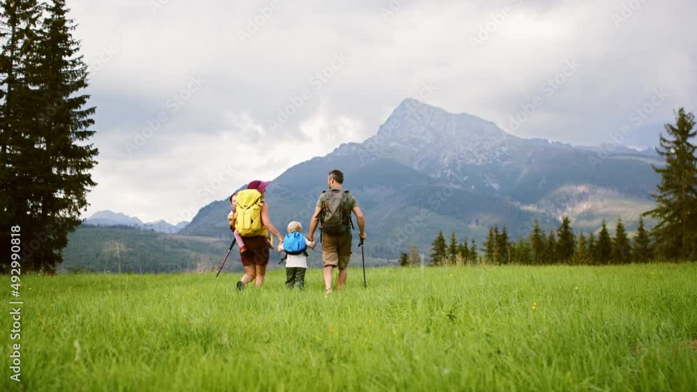 Rear view of family with small children hiking outdoors in summer nature. Rear view of family with small children hiking outdoors in summer nature.